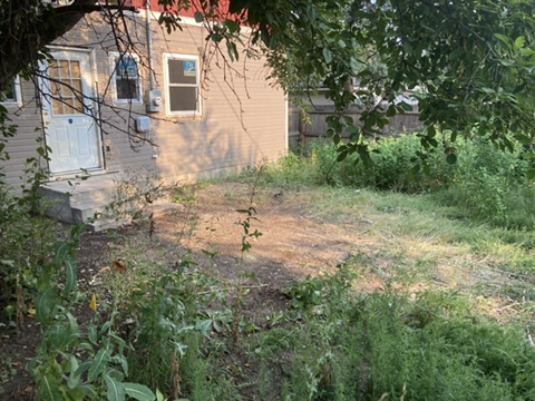 Freshly cleared yard during cleanup